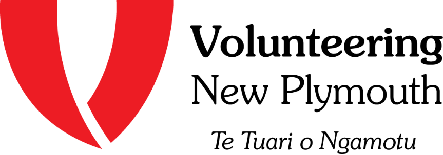 VNP Logo