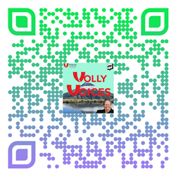 Volly Voices ART - 250 x 250 pixels
